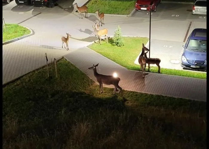 Appartamento Osada Gorska Szklarska Poręba