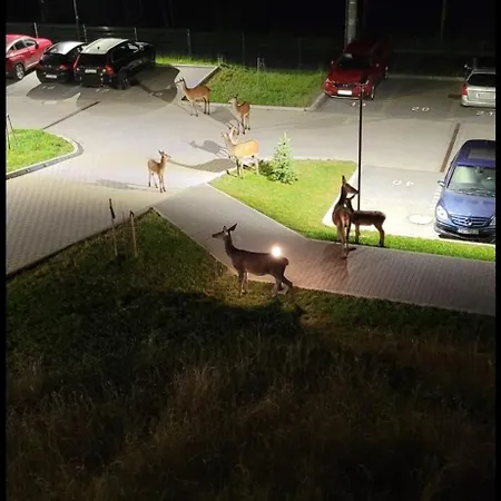 Lejlighed Osada Gorska Szklarska Poręba